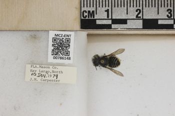 Media type: image;   Entomology 786148 Aspect: Labels